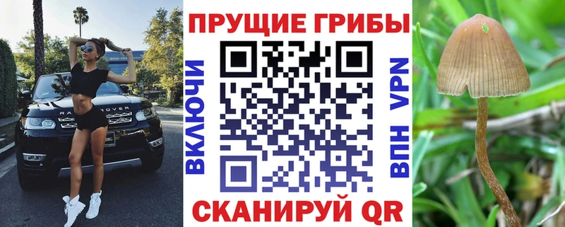 Галлюциногенные грибы прущие грибы  Высоцк 